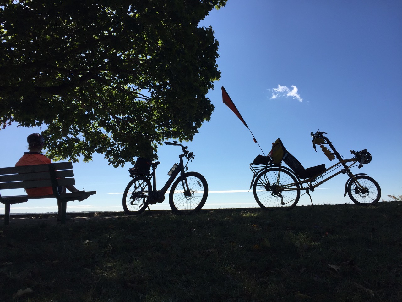 Carol Ireland: Bike Delaware Photo Winner